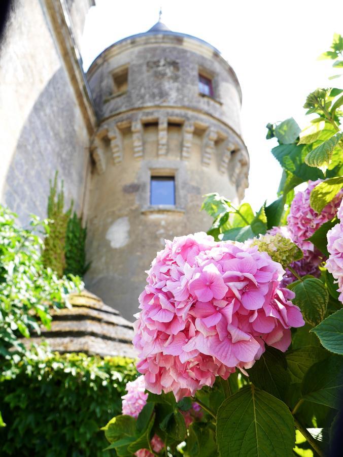 Chateau De La Grave Bourg-sur-Gironde Luaran gambar